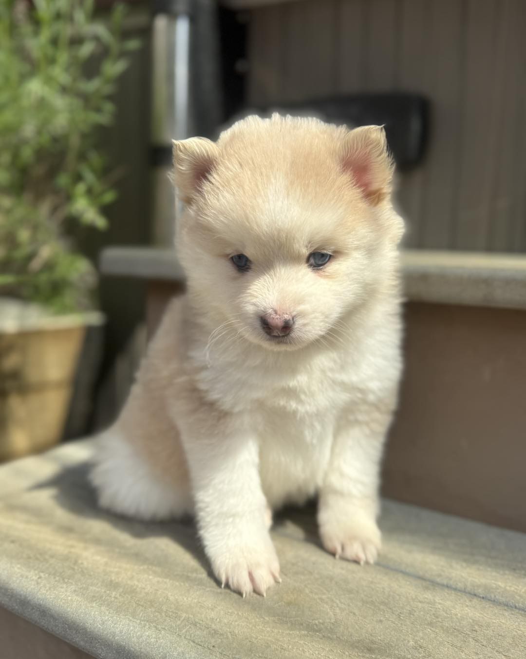 668560644_1385051920322756_5148113391947495103_n