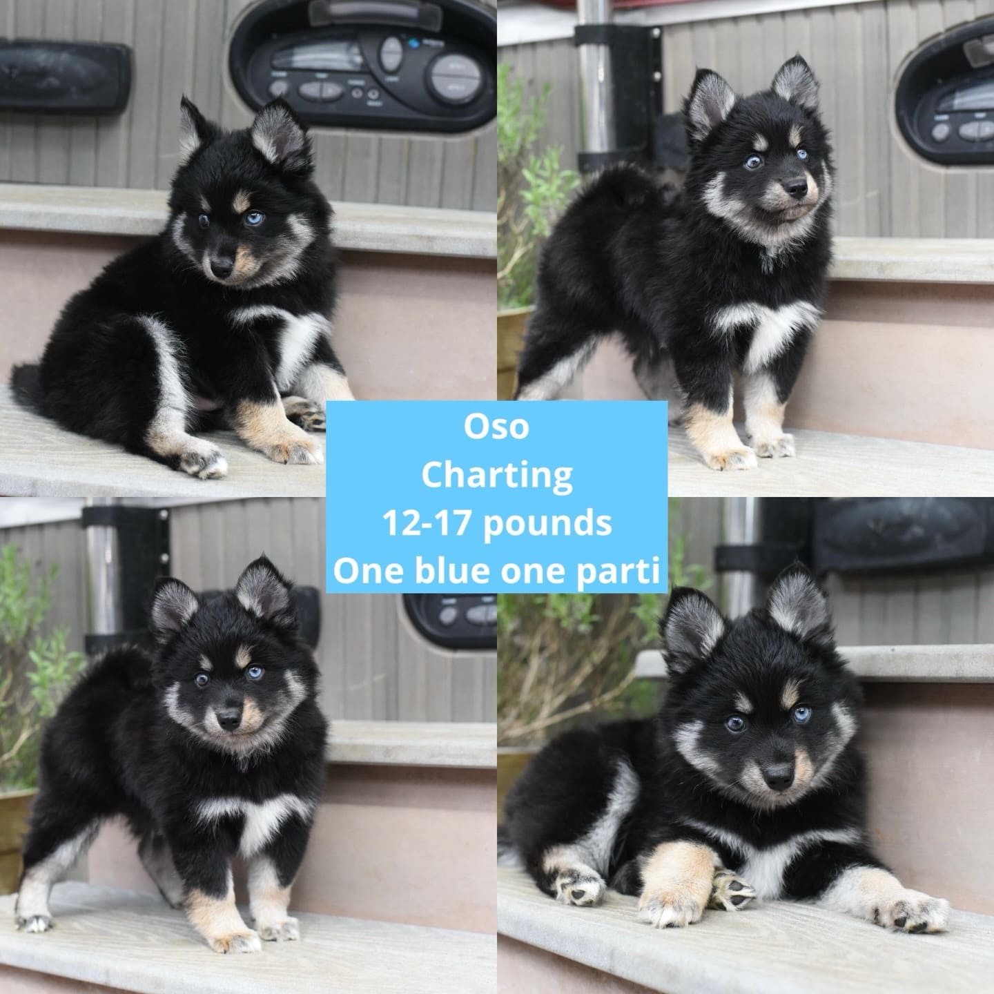 670145531_18225854683313423_2161735732016920597_n