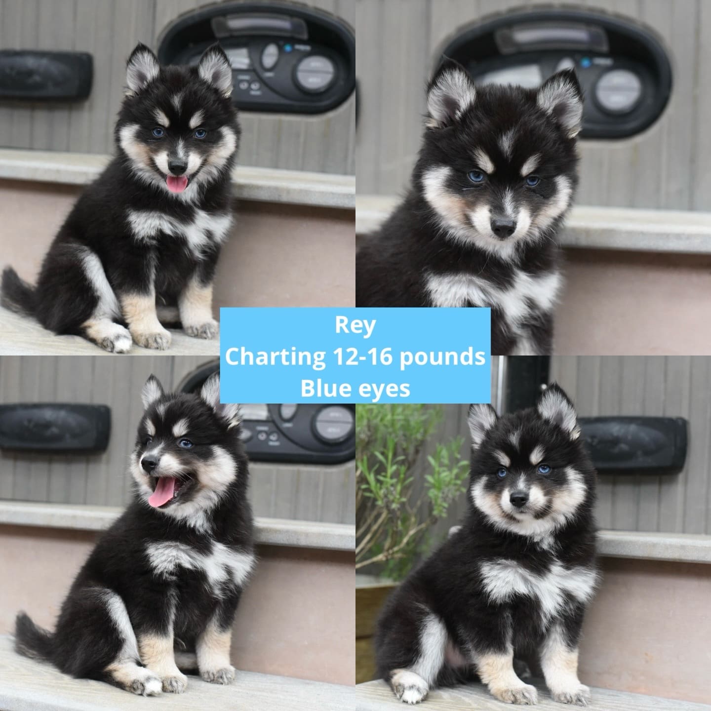 670484746_18225854650313423_5447862892429735823_n