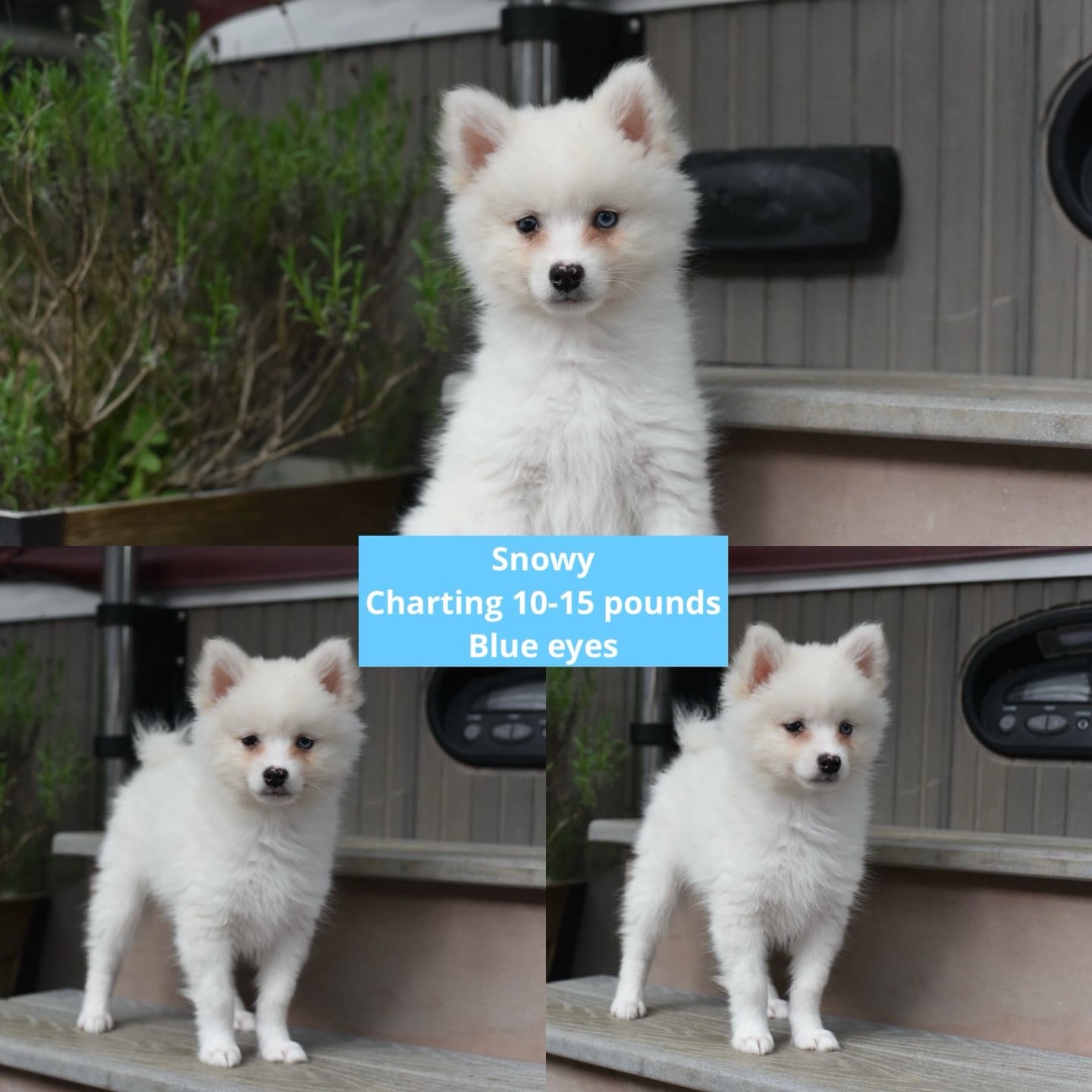 670554551_18225854695313423_7758740481950971246_n