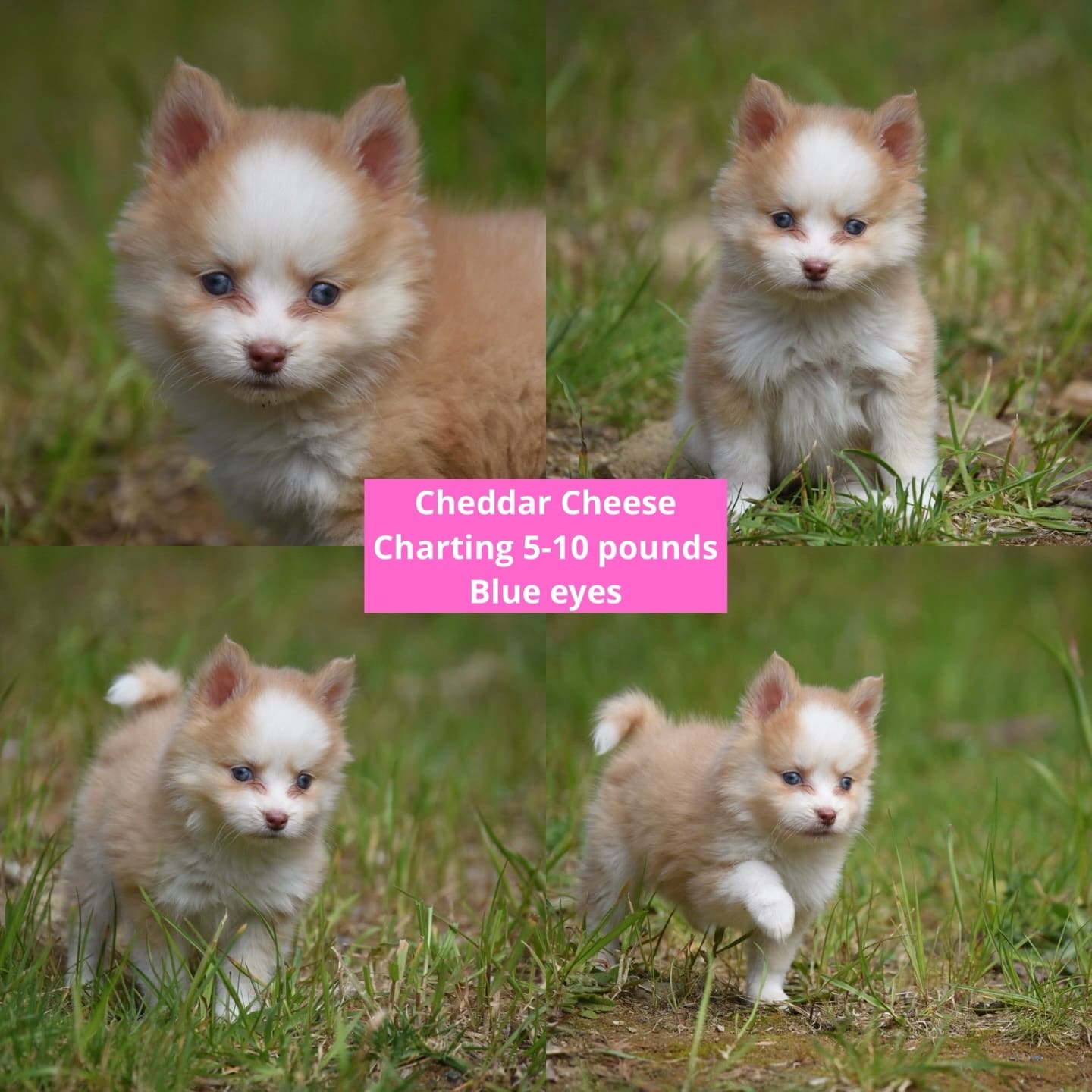 670755833_18225854659313423_5439638295227348531_n