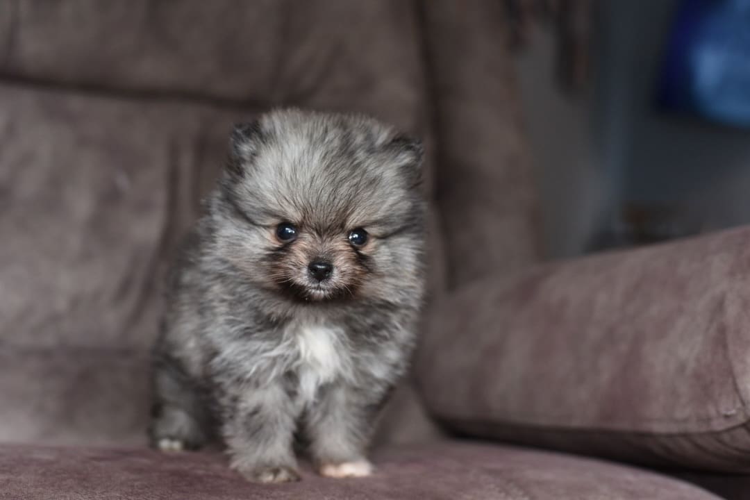 670810840_18226607482313423_7596891001840627939_n