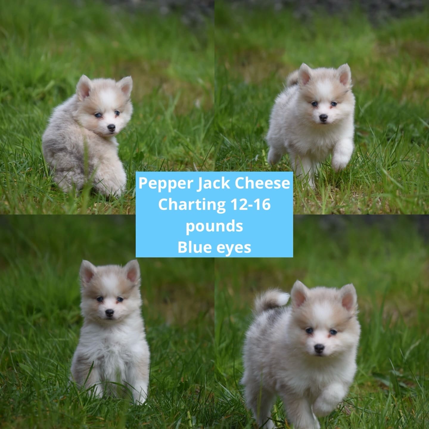 672346753_18225854704313423_365405819287825710_n