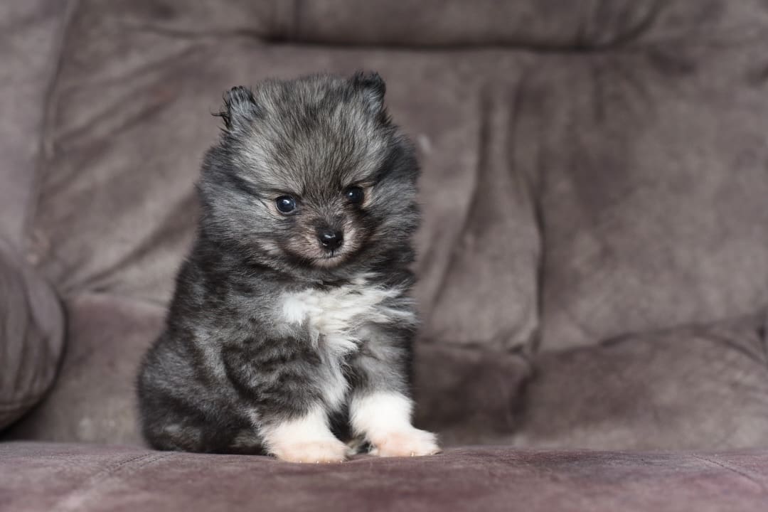 673142999_18226607500313423_3308769151470069984_n